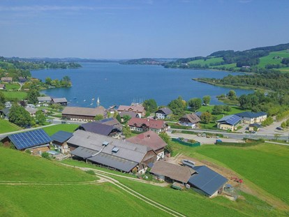 Pensionen - Terrasse - Faistenau - Der Ausblick über unsere Pension hinweg auf den Obertrumer See - Pension Fischerhof