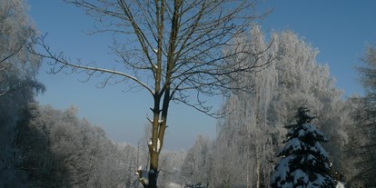 Pensionen - Langlaufloipe - Bad Alexandersbad - Unser Garten im Winter - Landhaus am Forst