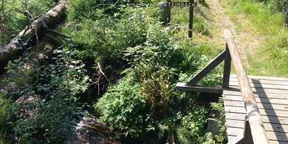 Pensionen - Garten - Mauth - Wanderweg um Mauth (Nationalpark Bayerischer Wald) - The Scottish Highlander Guesthouse