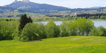 Pensionen - Haldenwang (Landkreis Oberallgäu) - Landhaus Sonnwinkl