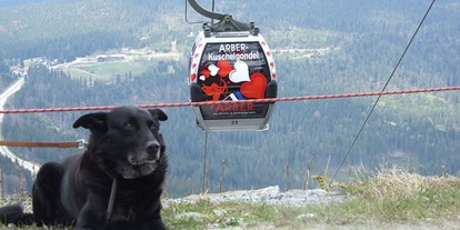 Pensionen - Arnbruck - Gondel auf den Großen Arber - Pension Sonnleit´n - Ihr Urlaub mit Hund 