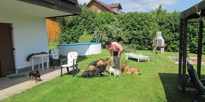 Pensionen - Viechtach - Garten und Hundepool - Pension Sonnleit´n - Ihr Urlaub mit Hund 