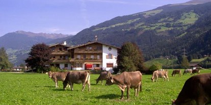 Pensionen - Hunde: erlaubt - ST. JAKOB (Trentino-Südtirol) - Klausnerhof