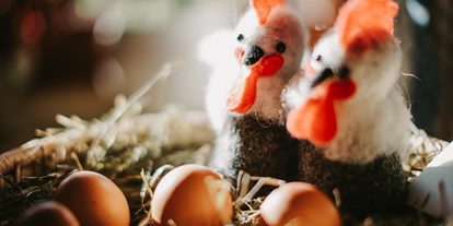 Pensionen - Frühstück: serviertes Frühstück - Inzing (Inzing) - Frühstück - die Eier werden von glücklichen Hühnern von einem Bauernhof in Birgitz bezogen - Gästehaus Schwaninger