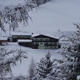 Frühstückspension: Winter bei uns in der Steiermark  - Entingerhof