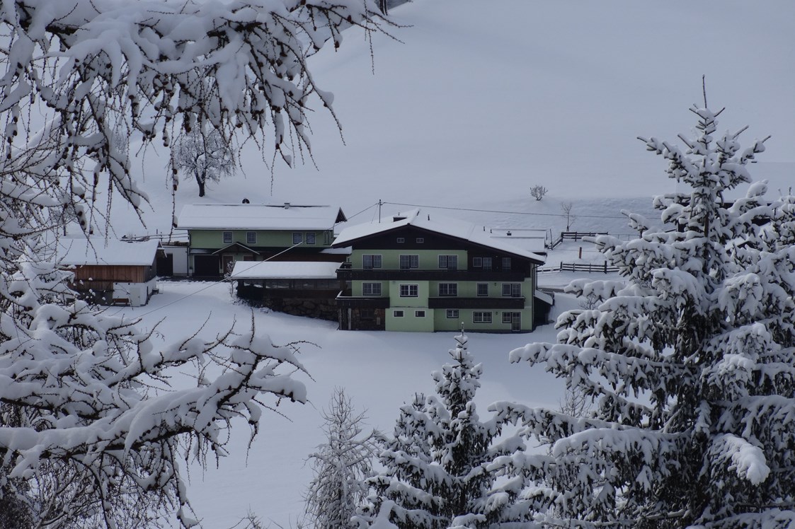 Frühstückspension: Winter bei uns in der Steiermark  - Entingerhof