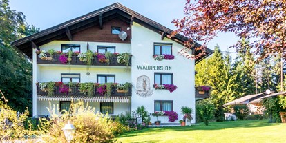 Pensionen - Wanderweg - Ossiach - Waldpension Schiefling am See