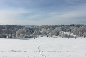 Frühstückspension: Traumlandschaft im Winter
Aufgenommen in Zaißing 2020 - Pension am Weberhof