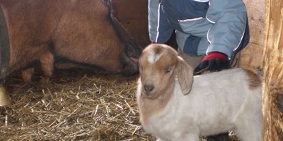 Pensionen - Tirol - Ziegen am Bio-Bauernhof der Veitenhof im Ötztal - Bio & Reiterhof der Veitenhof
