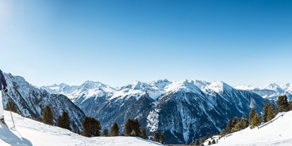 Pensionen - Tirol - Skifahren in Hochoetz - Ferienwohnung der Veitenhof Niederthai Ötztal - Bio & Reiterhof der Veitenhof