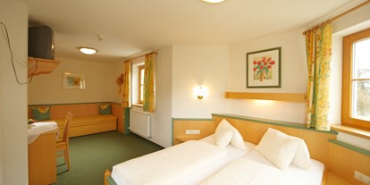 Pensionen - Schladming - Erkerzimmer mit Dachsteinblick - Hotel-Pension Bruckreiterhof