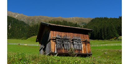 Pensionen - Tirol - herbstliches Oberbergtal 2012 - Haus Sarah
