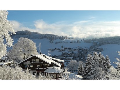 Pensionen - Umgebungsschwerpunkt: am Land - Winter mit Blick nach Osten - Panorama Lodge Sonnenalm Hochschwarzwald