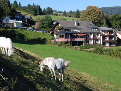 Pensionen - Umgebungsschwerpunkt: am Land - Panorama Lodge Sonnenalm Hochschwarzwald